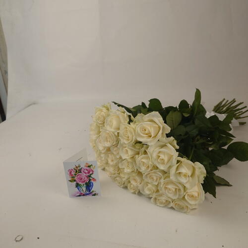 review-photo-before