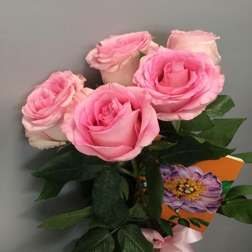 review-photo-before