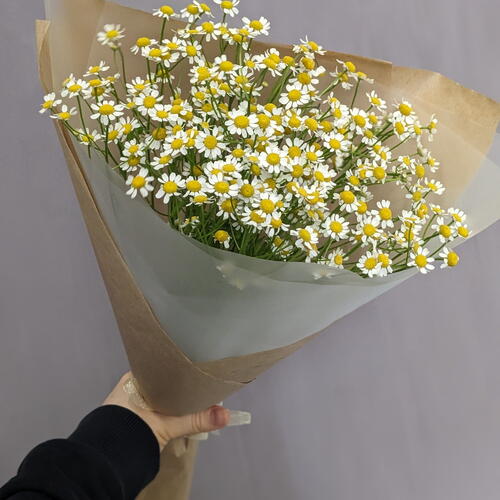 review-photo-before