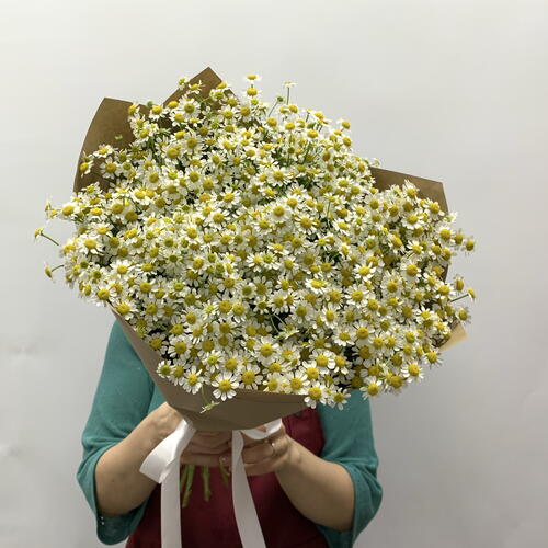 review-photo-before