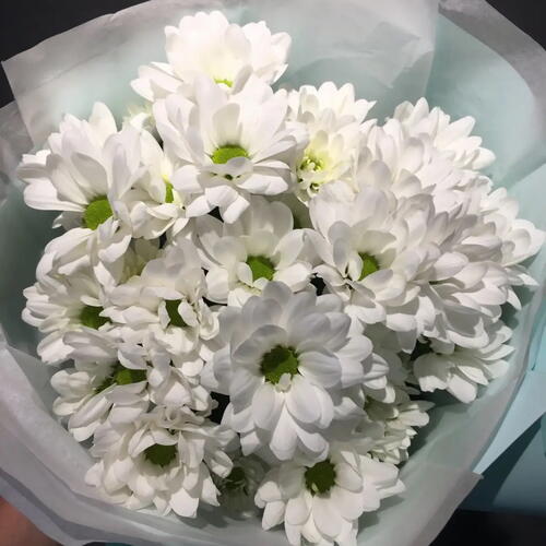 review-photo-before