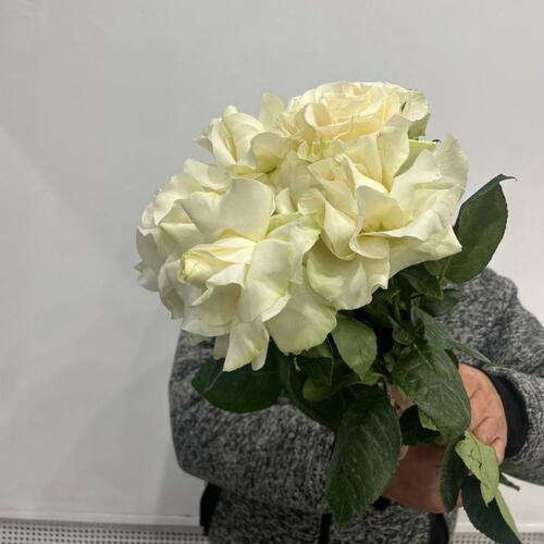 review-photo-before