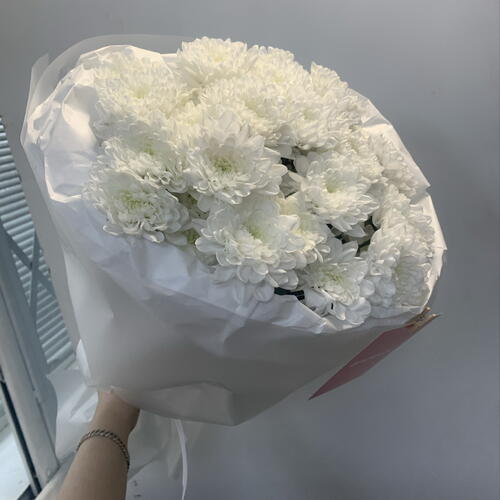 review-photo-before