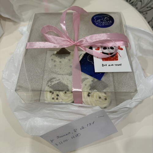 review-photo-before