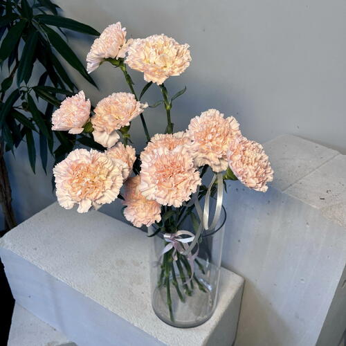 review-photo-before