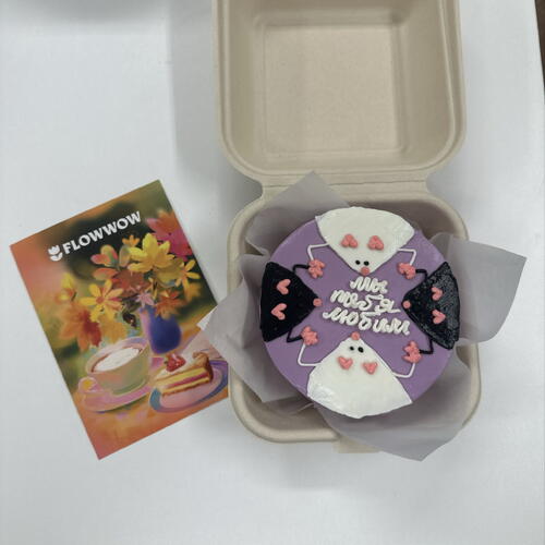 review-photo-before