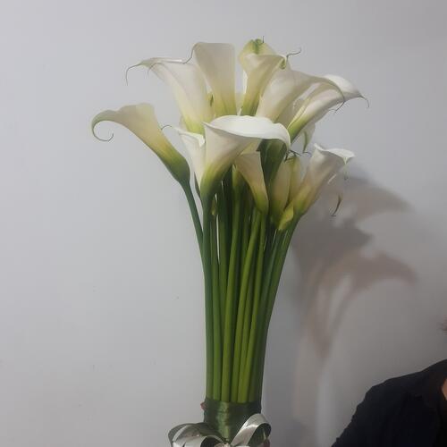 review-photo-before