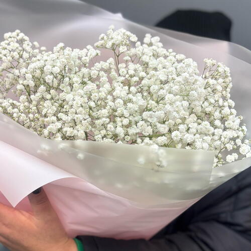 review-photo-before