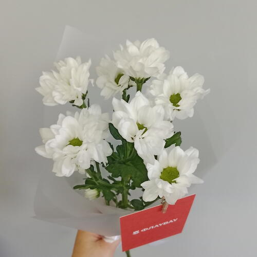 review-photo-before