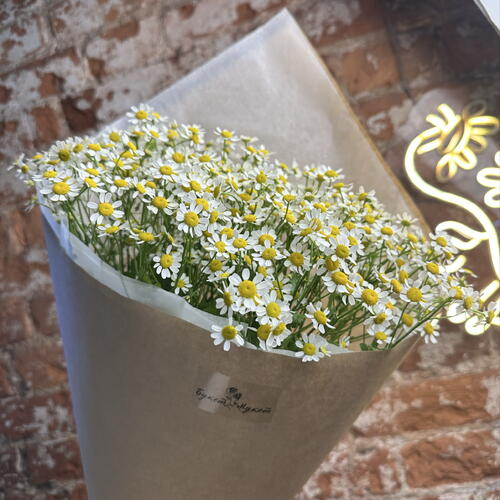 review-photo-before