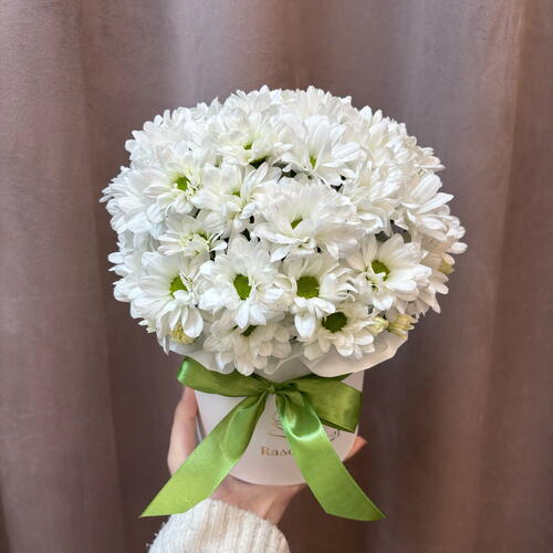 review-photo-before