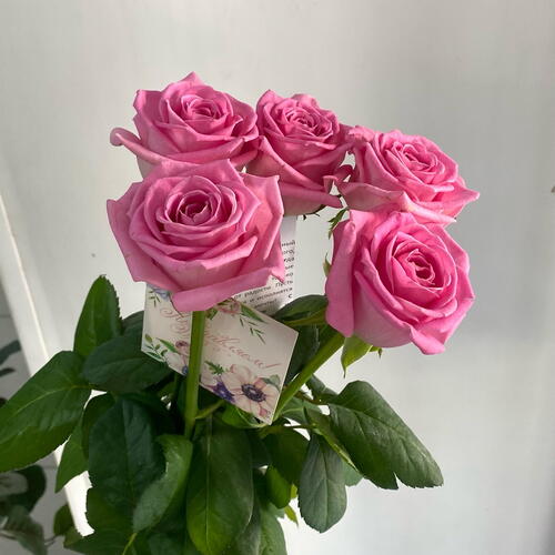 review-photo-before