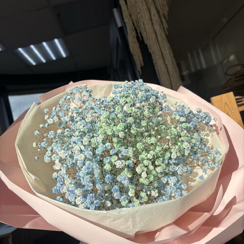 review-photo-before