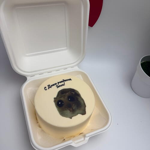 review-photo-before