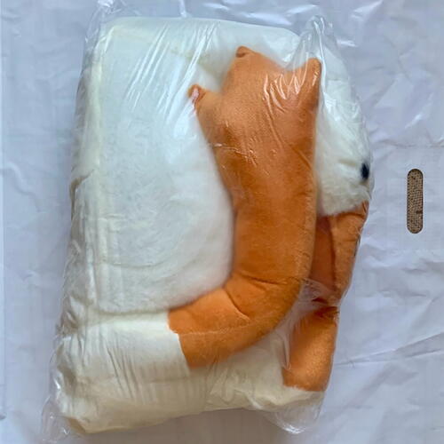 review-photo-before