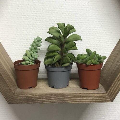 review-photo-before
