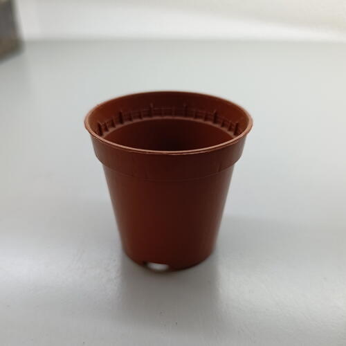 review-photo-before