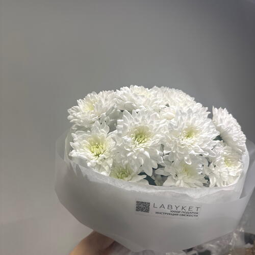 review-photo-before