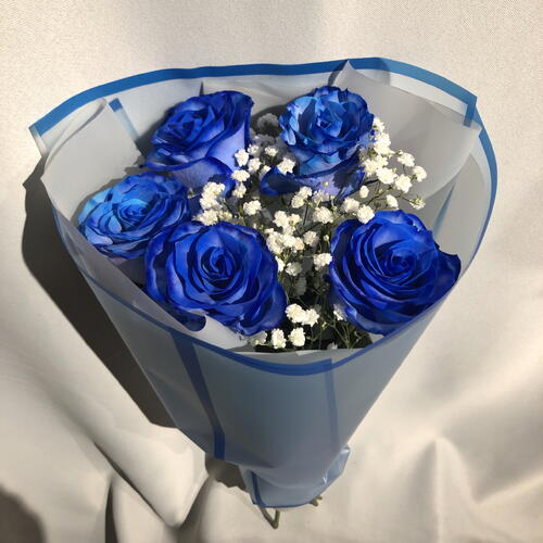 review-photo-before