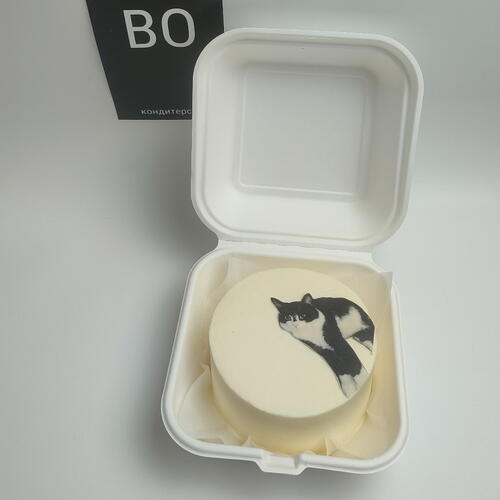 review-photo-before