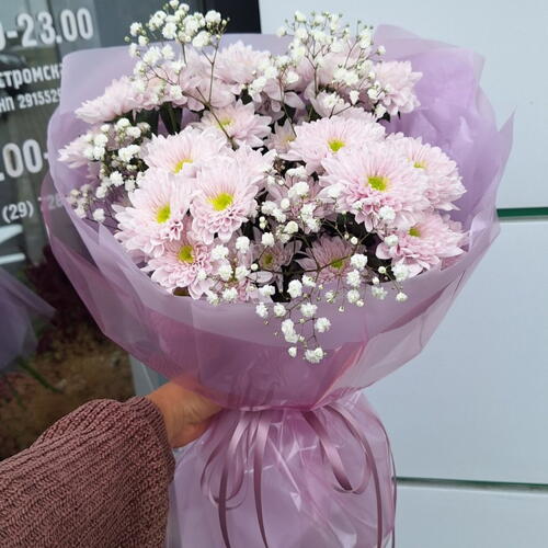 review-photo-before