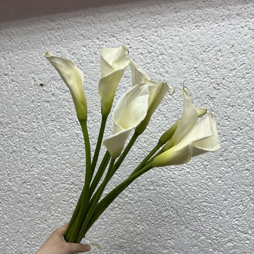 review-photo-before