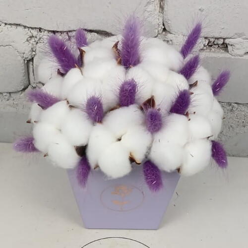 review-photo-before