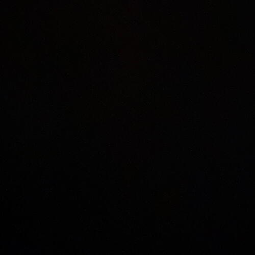 review-photo-before