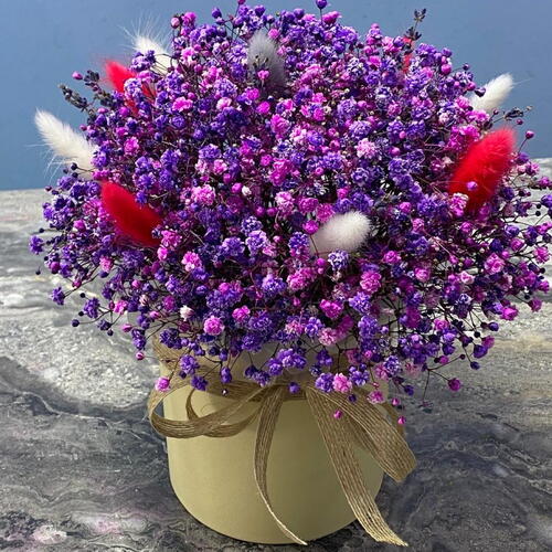 review-photo-before