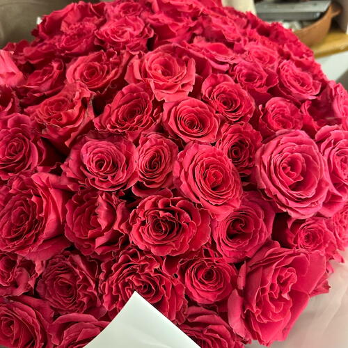 review-photo-before