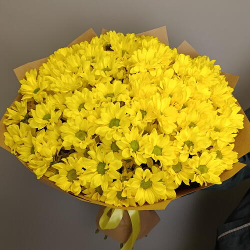 review-photo-before