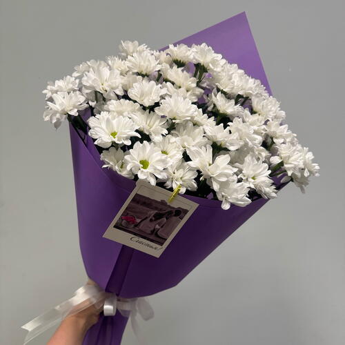 review-photo-before