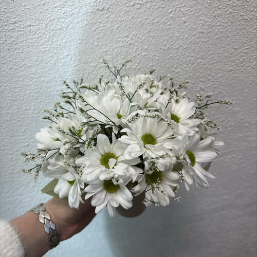 review-photo-before