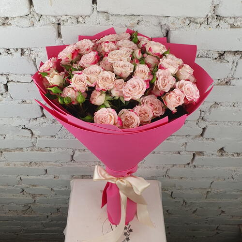 review-photo-before