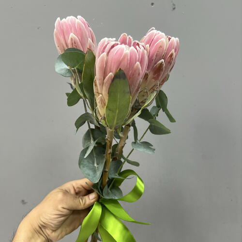review-photo-before