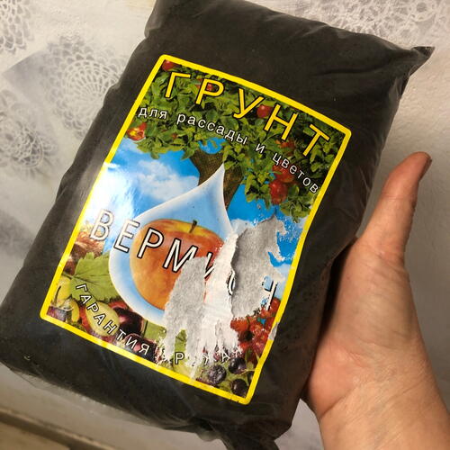 review-photo-before