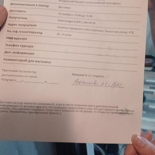 review-photo-before