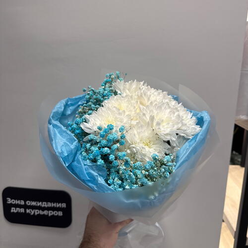 review-photo-before