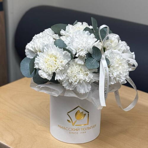 review-photo-before