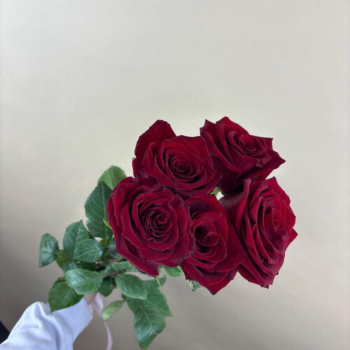 review-photo-before