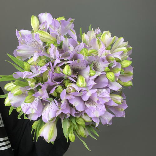 review-photo-before
