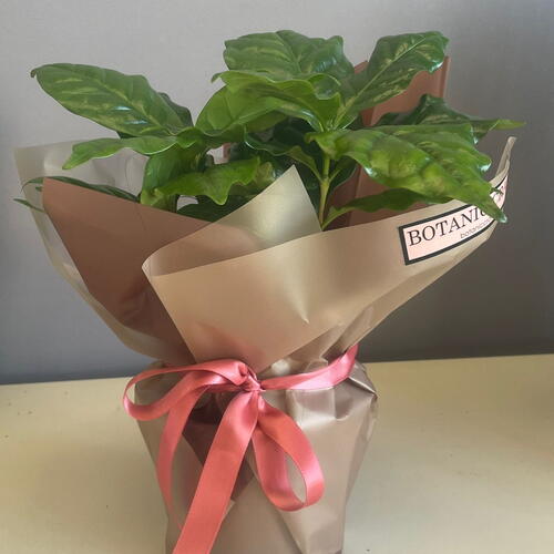 review-photo-before