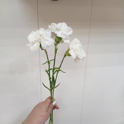 review-photo-before