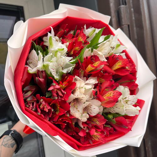 review-photo-before