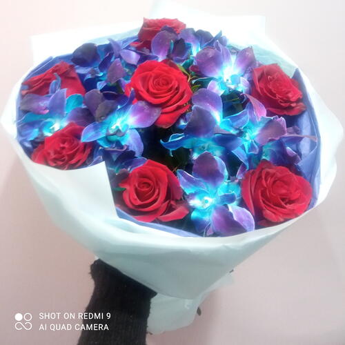 review-photo-before