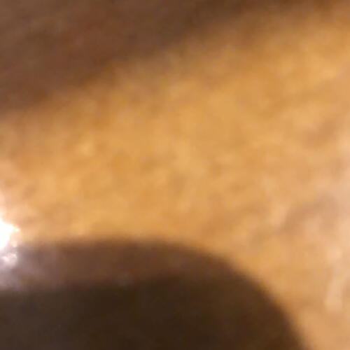 review-photo-before