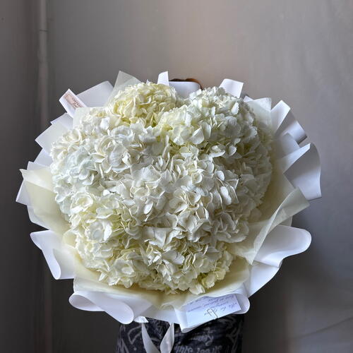 review-photo-before