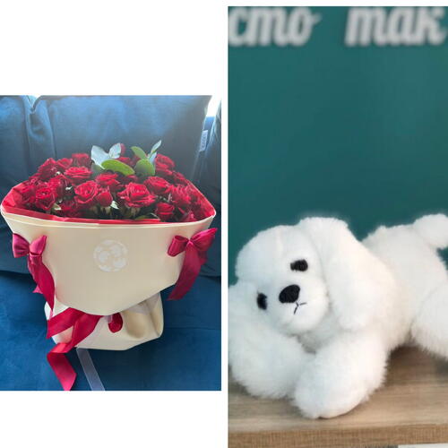 review-photo-before