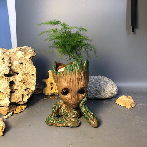 review-photo-before