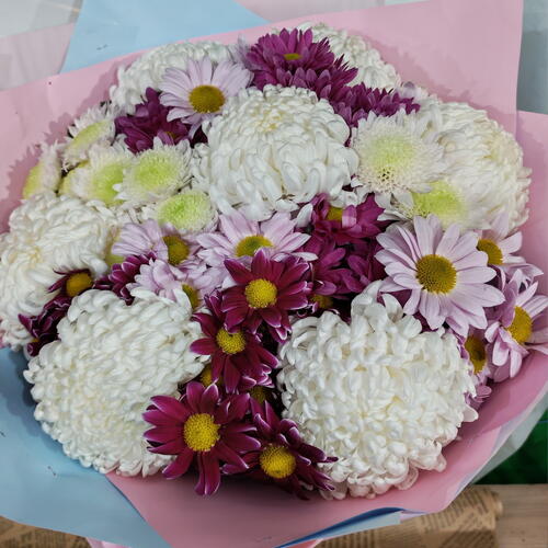 review-photo-before